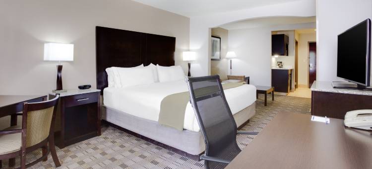 智选假日套房酒店梅宾(Holiday Inn Express & Suites Mebane)图片