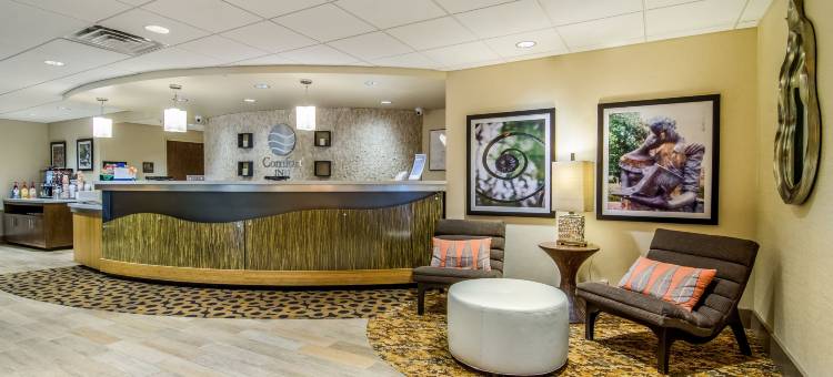 罗利城区舒适酒店(Comfort Inn Raleigh Midtown)图片