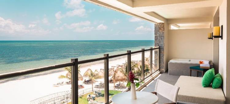 坎昆里维埃拉现在自然酒店(Dreams Natura Resort and Spa)图片