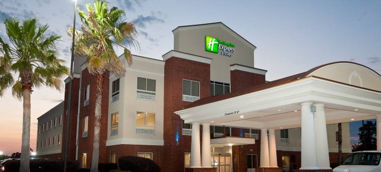 洲际酒店集团智选假日酒店及套房斯科特 - 拉斐特西(Holiday Inn Express & Suites Scott-Lafayette West)图片