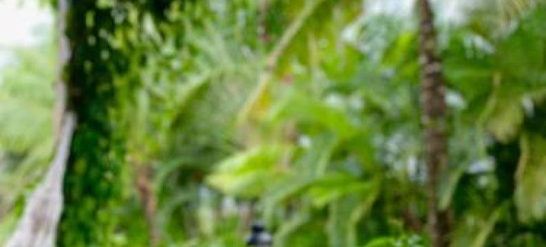 法萨尼旅馆(Pousada Fasani)图片