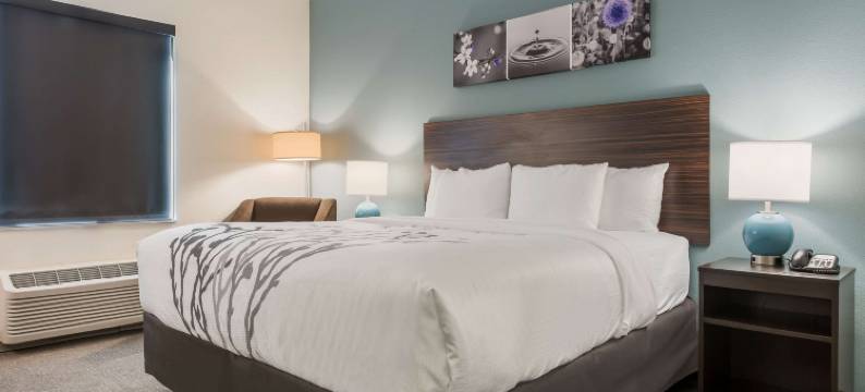 韦布城舒眠套房酒店(Sleep Inn & Suites Webb City)图片