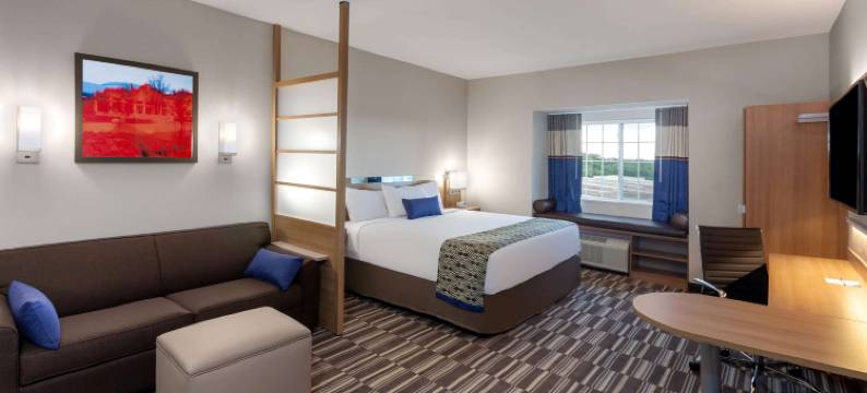 克利奇站麦客达温德姆套房酒店(Microtel Inn & Suites by Wyndham College Station)图片