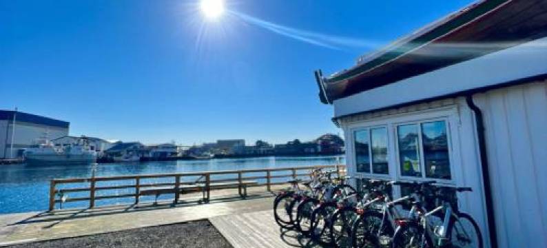 罗弗敦渔民公寓(Lofoten Rorbuer)图片