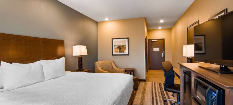 奥弗兰贝斯特韦斯特优质旅馆(Best Western Plus Overland Inn)图片