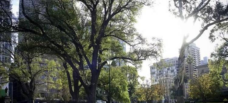 墨尔本中央商务区宜必思快捷酒店(Ibis Budget - Melbourne CBD)图片