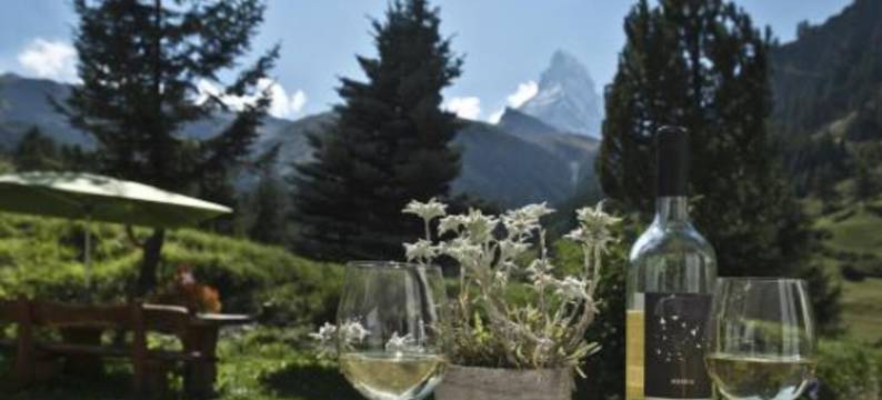 罗莎高原酒店(Hotel Plateau Rosa)图片