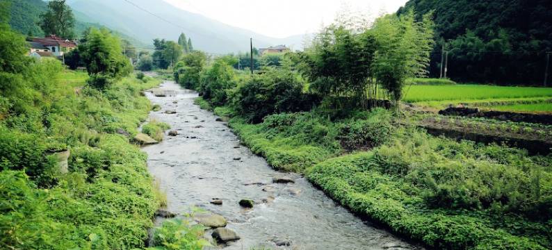 莫干山流年山庄图片