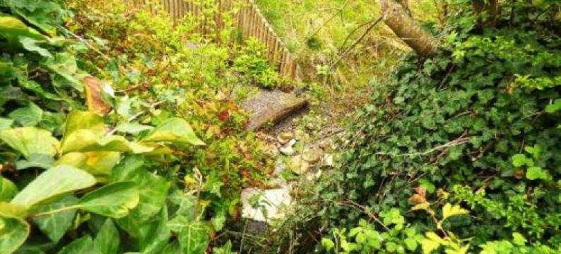 烟屋住宿加早餐旅馆(Ash House Bed and Breakfast)图片