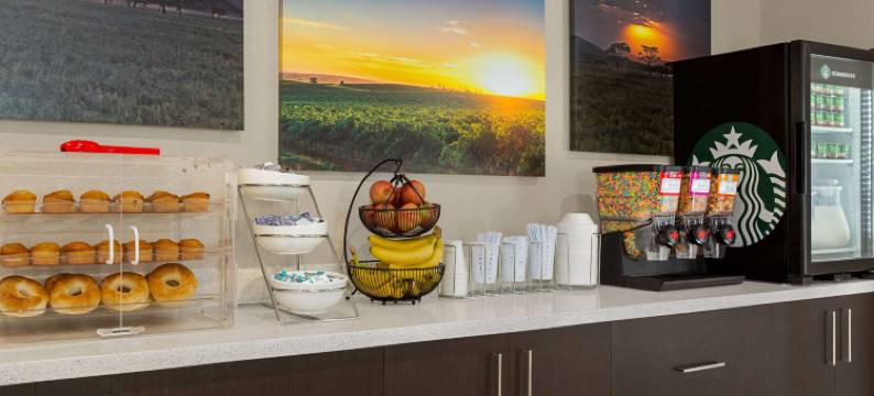 大汤博尔温德姆戴斯套房酒店(Days Inn & Suites by Wyndham Greater Tomball)图片