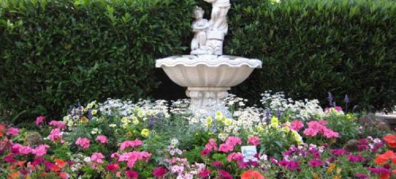 瓦尔德卡夫餐厅酒店(Waldcafé Hotel Restaurant)图片