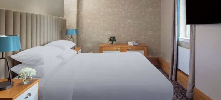 学者(The Scholar)图片