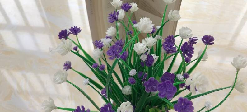 拾光书院公寓(卜村南路分店)图片