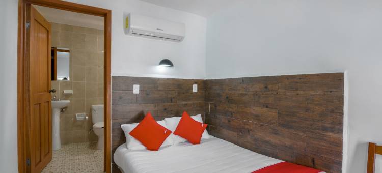 OYO 帕尔马皇家酒店(OYO Hotel Palma Real)图片