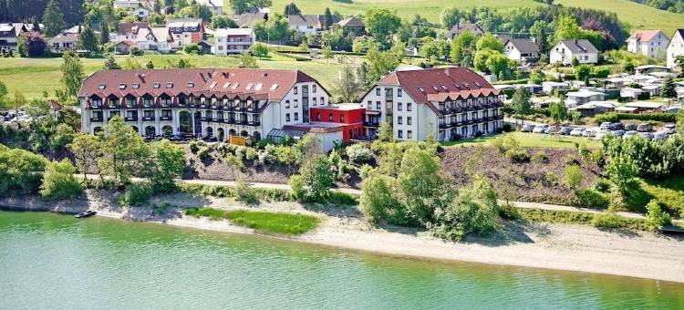 迪美尔西戈贝尔酒店(Göbel's Seehotel Diemelsee)图片