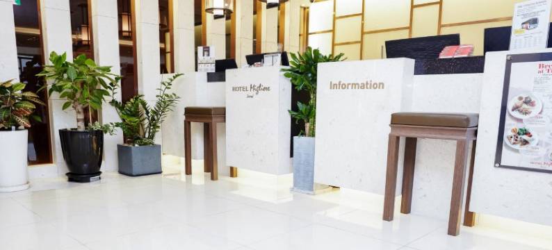 美利来酒店-首尔 (東大門)(Hotel Migliore Seoul)图片