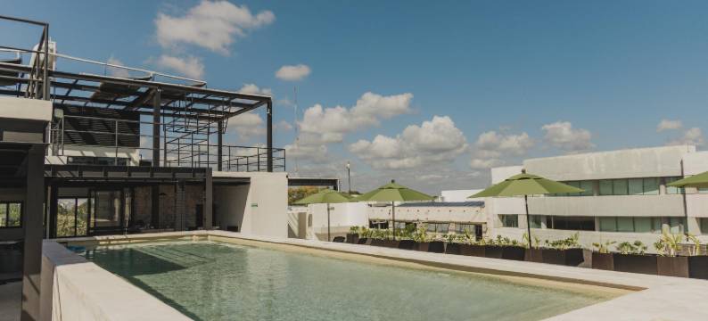 卡莱塔旅舍屋顶泳池酒店(Caleta Hostel)图片