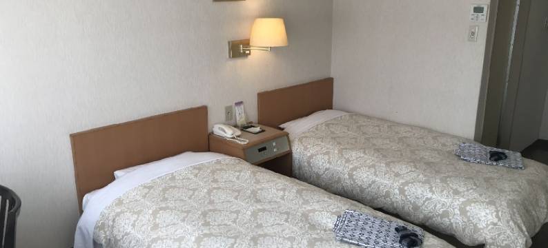 仓吉城镇酒店(Kurayoshi Town Hotel)图片