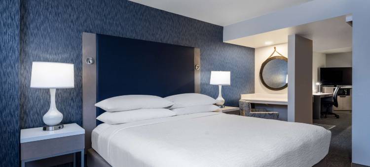 希尔顿安泊酒店-巴尔的摩狩猎谷(Embassy Suites by Hilton Baltimore Hunt Valley)图片