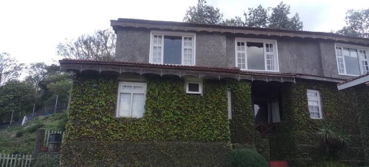 别墅度假屋(Villa Retreat - Boutique Hotel)图片