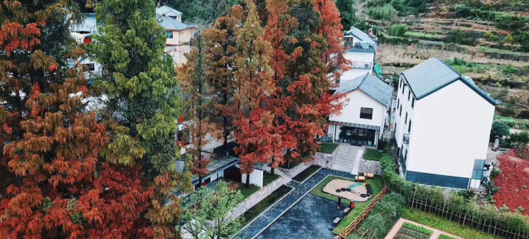 衢州圃舍源溪田园美宿(大荫山丛林飞越探险乐园店)图片