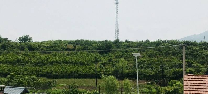 张婧特色民宿(将军路分店)图片