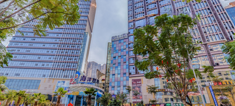 攀枝花隐西木子酒店图片