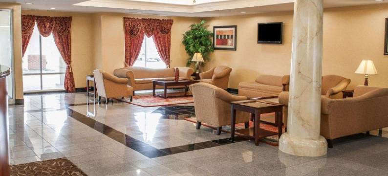 舒适套房酒店-近印第安纳波利斯机场(Comfort Suites Near Indianapolis Airport)图片