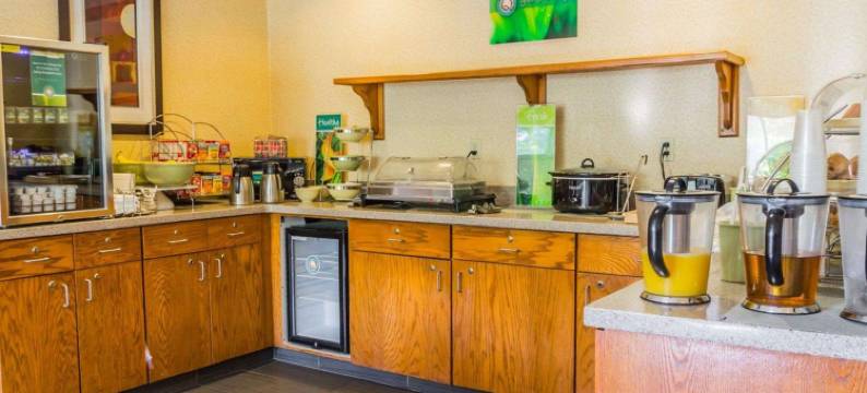 丹佛西戈尔登凯艺酒店(Quality Inn & Suites Golden - Denver West)图片