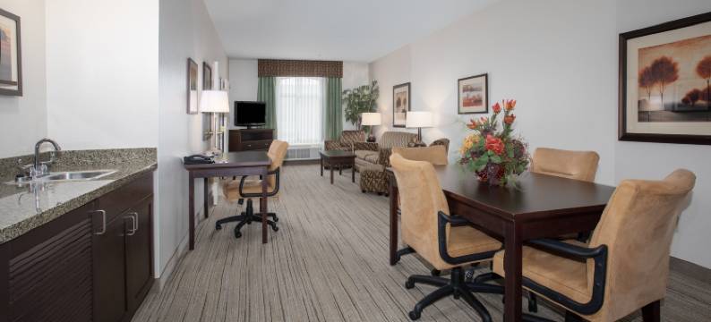 奥罗谷图森北智选假日套房酒店(Holiday Inn Express & Suites ORO VALLEY-TUCSON NORTH by IHG)图片