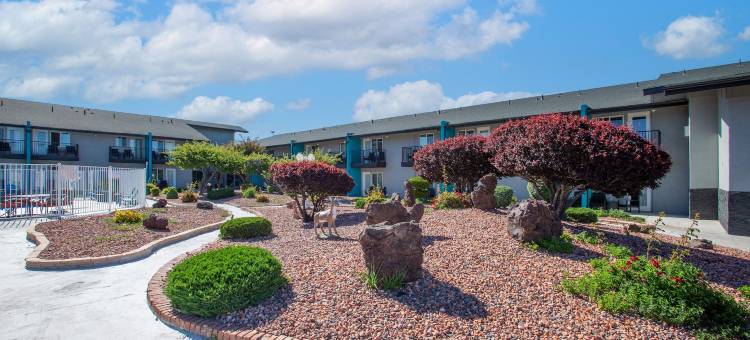 费拉格尔斯塔夫I-40巴特勒大街198号出口套房酒店(Hotel Elev8 Flagstaff I-40 Exit 198 Butler Ave)图片