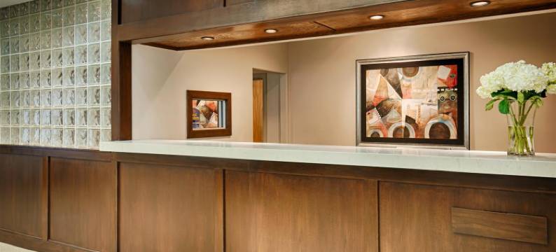 休斯顿市中心贝斯特韦斯特优质套房酒店(Best Western Plus Downtown Inn  Suites)图片