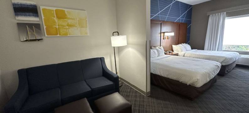 杰克逊开普吉拉多舒适套房酒店(Comfort Suites Jackson-Cape Girardeau)图片