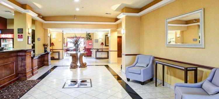 舒适套房酒店-德克萨斯大道(Comfort Suites Texas Ave)图片