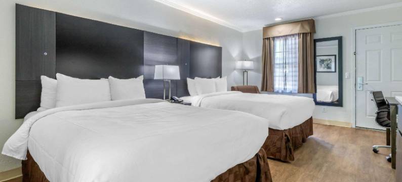 大学郊区开放式客房(Suburban Studios at the University)图片