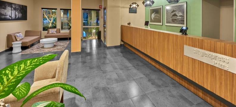 万豪城市快捷普拉斯卡波圣卢卡斯(City Express Plus by Marriott Cabo San Lucas)图片