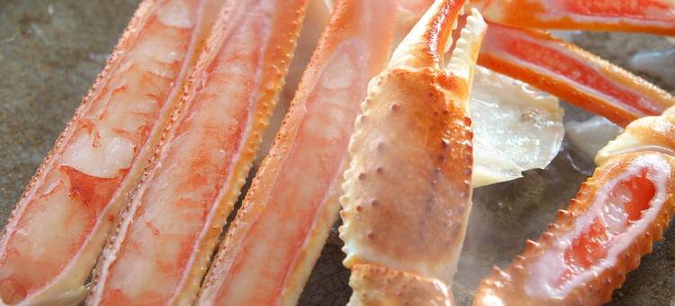 水乡旅馆(Ryokan Suigou)图片