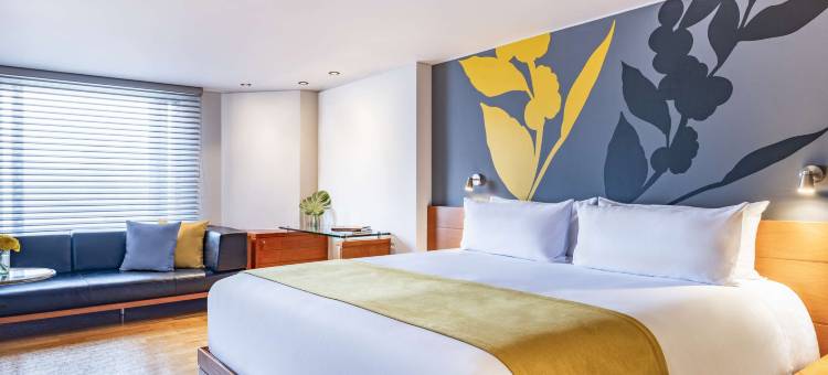 波哥大 T 区安凡尼皇家酒店(前身为 NH 波哥大波西米皇家酒店)(Avani Royal Zona T Bogota)图片