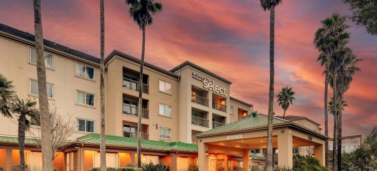 旧金山机场/牡蛎角海滨索尼斯塔精选酒店(Sonesta Select San Francisco Airport Oyster Point Waterfront)图片