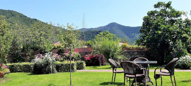 劳拉旅馆(Posada Laura)图片