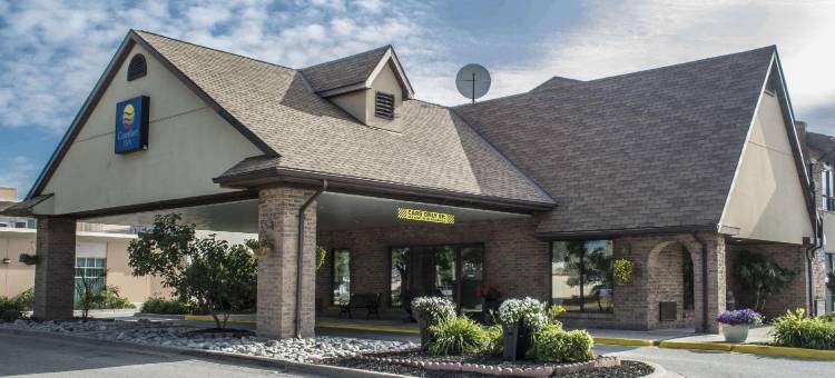 舒适酒店(Comfort Inn)图片