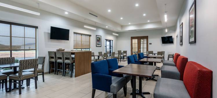 舒适套房酒店(Comfort Suites)图片