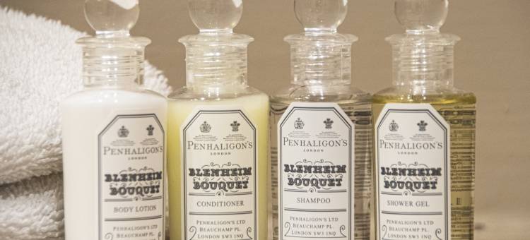 伦敦罗西亚特之家酒店(Roseate House London)图片