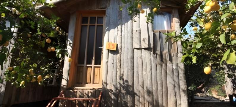 Varuna Pansiyon图片