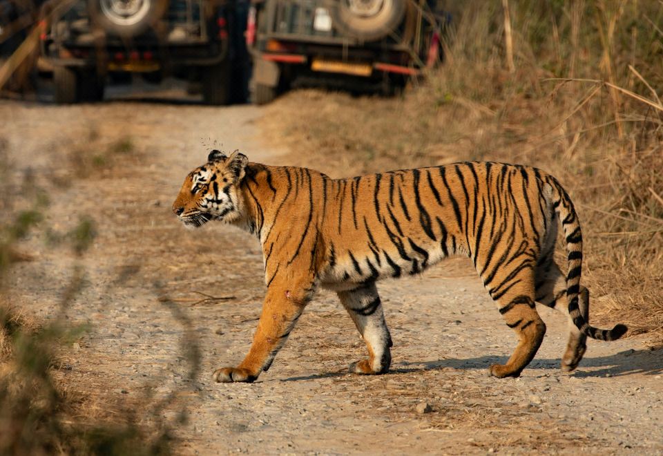 voco JIM CORBETT by IHG Hotel Overview