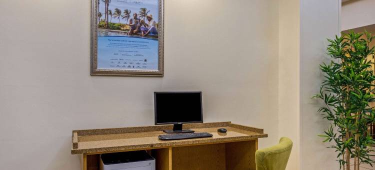纽黑文拉昆塔温德姆套房酒店(La Quinta Inn & Suites by Wyndham New Haven)图片