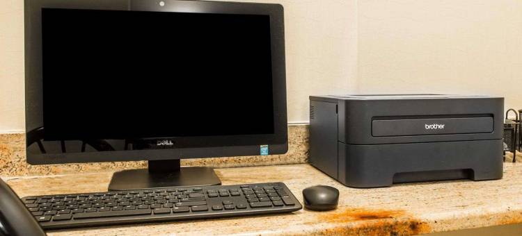 白厅舒适酒店 - 近密歇根冒险乐园(Comfort Inn Whitehall Near Michigan's Adventure)图片