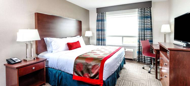 穆斯乔温德姆华美达酒店(Ramada by Wyndham Moose Jaw)图片