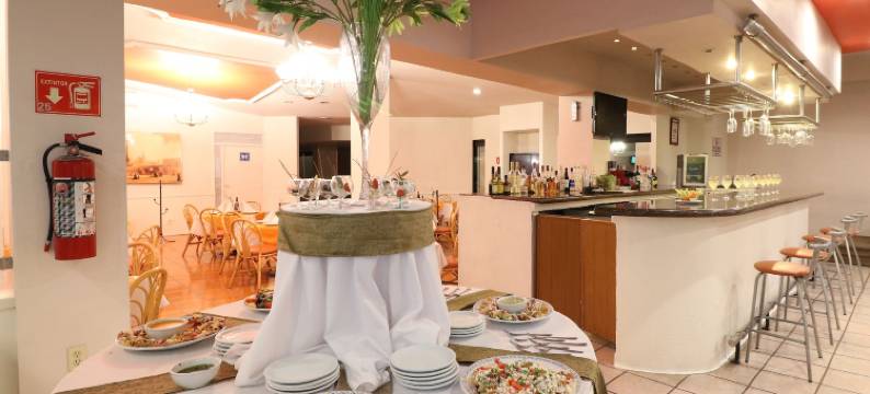 米西翁阿瓜斯卡连特斯卵苏尔酒店(Hotel Misión Aguascalientes Zona Sur)图片