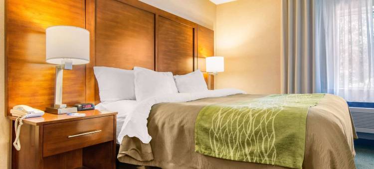 舒适套房酒店(Comfort Inn & Suites Shawinigan)图片